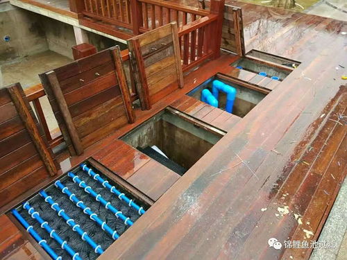 別墅魚池過濾器奧利仕 陜西別墅魚池過濾 奧利仕