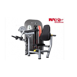 學(xué)校籃球架與勁道康體設(shè)施公司的康體設(shè)備解決方案